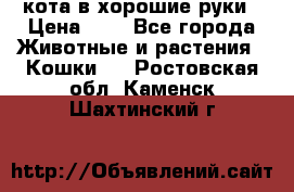 кота в хорошие руки › Цена ­ 0 - Все города Животные и растения » Кошки   . Ростовская обл.,Каменск-Шахтинский г.